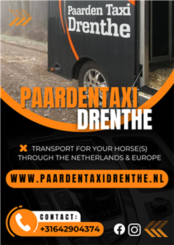 Horse taxi Drenthe - transport throughout the Netherlands