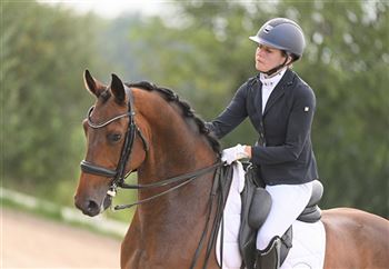 Talented dressage horse