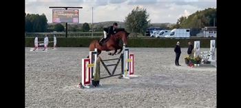 Jumping horse 120