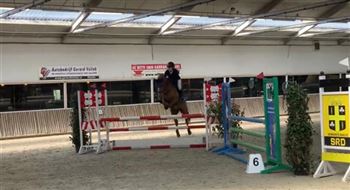 Super pony for sale!