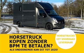 Immediately available | 2-horse | De Boer Horsetrucks | Stallion version | VIGO
