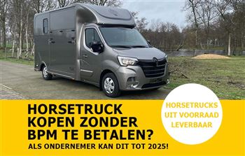 Immediately available | 2-horse | De Boer Horsetrucks | #17