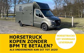 Immediately available | 2-horse | De Boer Horsetrucks | #8