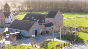 Beautiful rural farm with horse stables, outdoor arena and grasslands in WILLEBROEK (Belgium | Antwerp)
