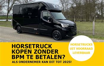 Immediately available | 2-horse | Automatic | De Boer Horsetrucks | RM1800