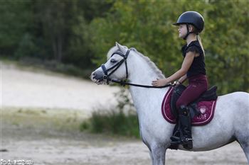 The sweetest luxury sports pony