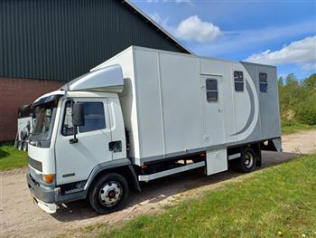 DAF horse truck for 3/4 horses C1 driving license